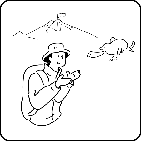 flow_image